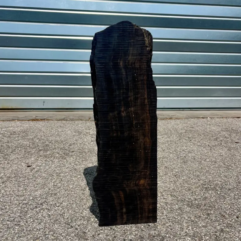 Bloc d'ébène du Gabon 550 x 160 x 80 mm - Bois d'exception